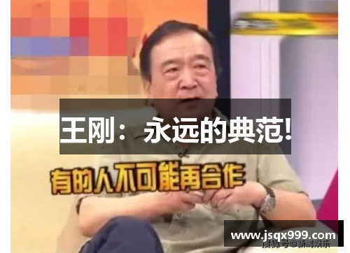 王刚：永远的典范!